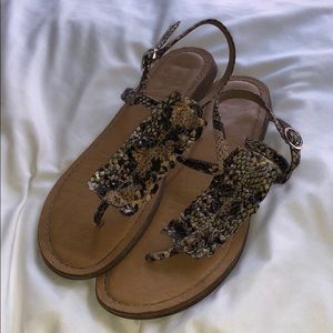 snake skin sandals